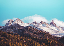 世界杯官方直播app官网下载入口-女足亚洲杯：朝鲜队大胜乌兹别克斯坦队